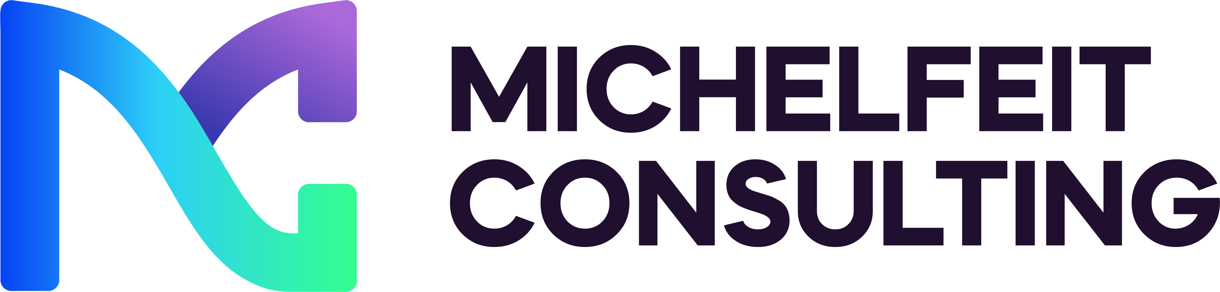 Michelfeit Consulting 2-Mar-19-2024-12-47-20-5416-PM